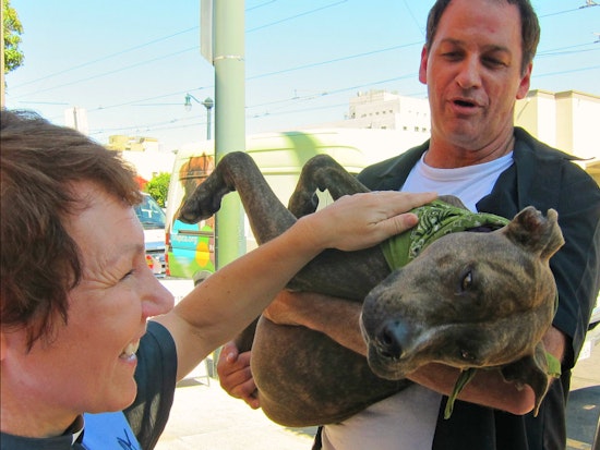 St. Francis To Host 3rd Annual Dog Adoption, Pet Blessing This Saturday