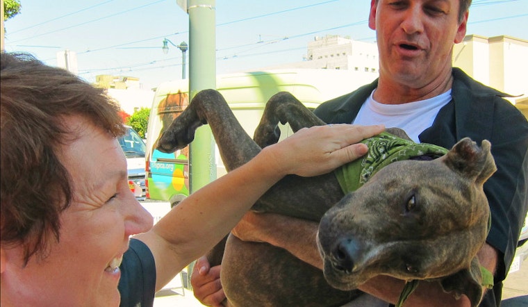 St. Francis To Host 3rd Annual Dog Adoption, Pet Blessing This Saturday