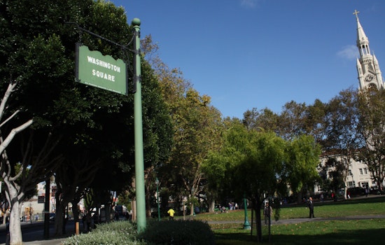 After Woman's Critical Injury, Friends Of Washington Square To Take Charge Of Park's Trees