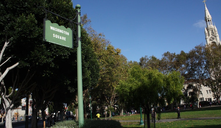 After Woman's Critical Injury, Friends Of Washington Square To Take Charge Of Park's Trees