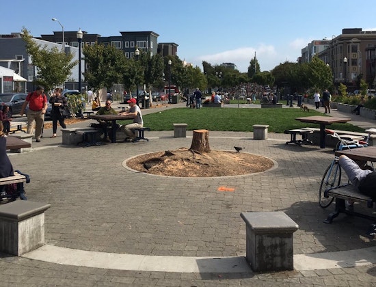After Tree's Death, HVNA Considers New Plan For Patricia's Green