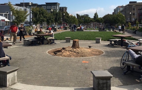 After Tree's Death, HVNA Considers New Plan For Patricia's Green