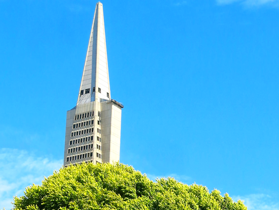 North Beach Week: Big Book Sale, Switzerland at Pier 17, Latino Engineering Day, More