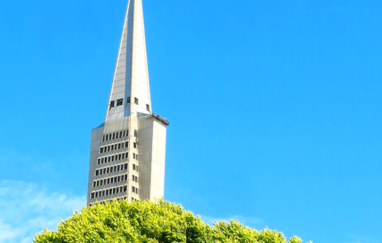 North Beach Week: Big Book Sale, Switzerland at Pier 17, Latino Engineering Day, More