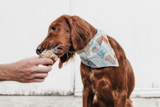 The top 3 food and drink events in Miami this weekend