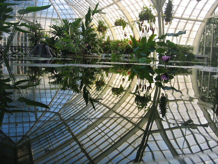 Conservatory Of Flowers Launches New Glasshouse Artist Hours Today