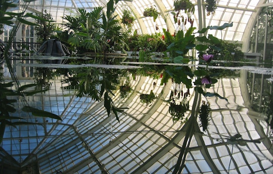 Conservatory Of Flowers Launches New Glasshouse Artist Hours Today