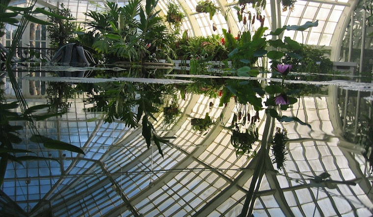 Conservatory Of Flowers Launches New Glasshouse Artist Hours Today