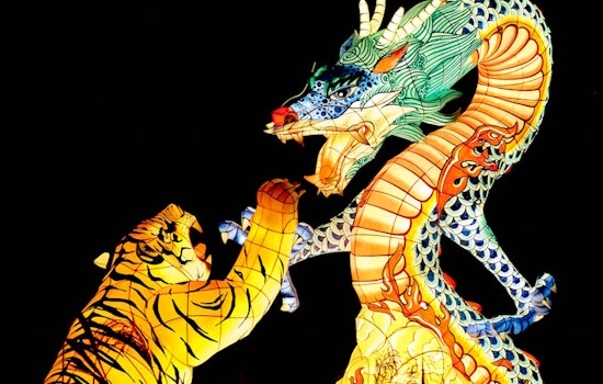 Celebrate Tết and Valentine's Day with 4 family-friendly events and activities this week