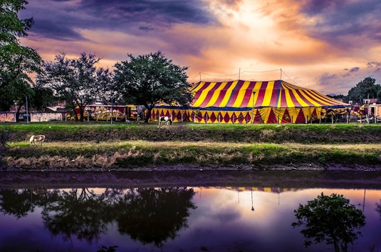 The best performing and visual arts events in San Antonio this week