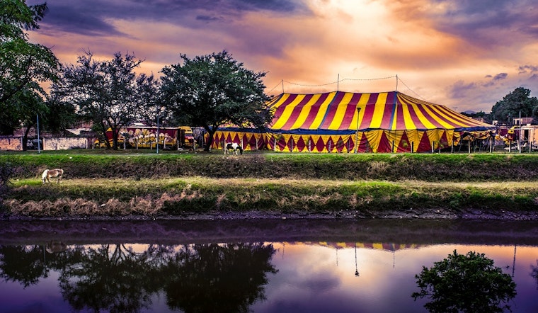 The best performing and visual arts events in San Antonio this week