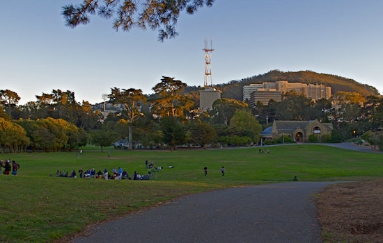 Man Jumped, Mugged By Group Of 7 People In Golden Gate Park