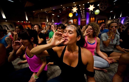 Cats, Cannabis, Clothing-Optional: Quirky Classes For San Francisco Yogis [NSFW]
