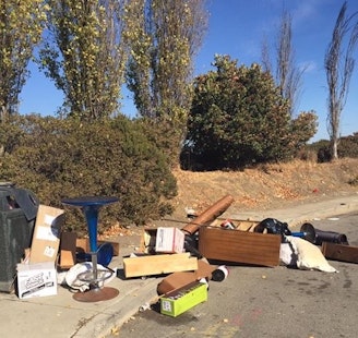Caught In The Act: Bayview Residents Furious Over Illegal Trash Dumping
