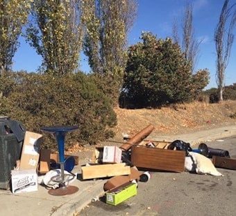 Caught In The Act: Bayview Residents Furious Over Illegal Trash Dumping