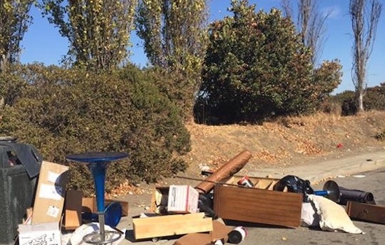 Caught In The Act: Bayview Residents Furious Over Illegal Trash Dumping