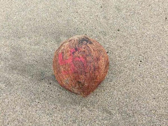 Ocean Beach Swastika Coconuts Likely Part of Hindu Ritual, Not Nazi Display