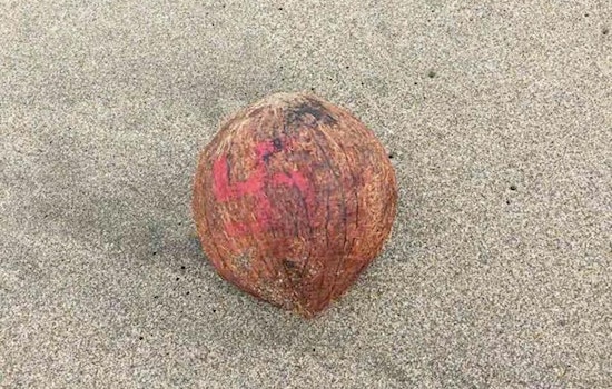 Ocean Beach Swastika Coconuts Likely Part of Hindu Ritual, Not Nazi Display
