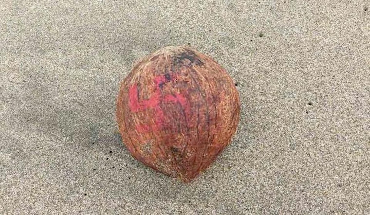 Ocean Beach Swastika Coconuts Likely Part of Hindu Ritual, Not Nazi Display