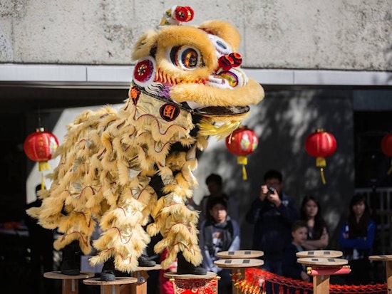 Oakland weekend: Lunar New Year celebration, black college expo, plant sale fundraiser, more