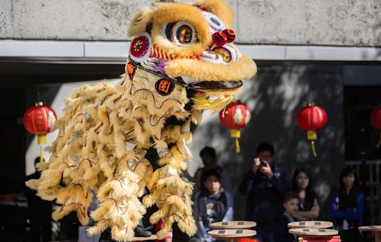 Oakland weekend: Lunar New Year celebration, black college expo, plant sale fundraiser, more