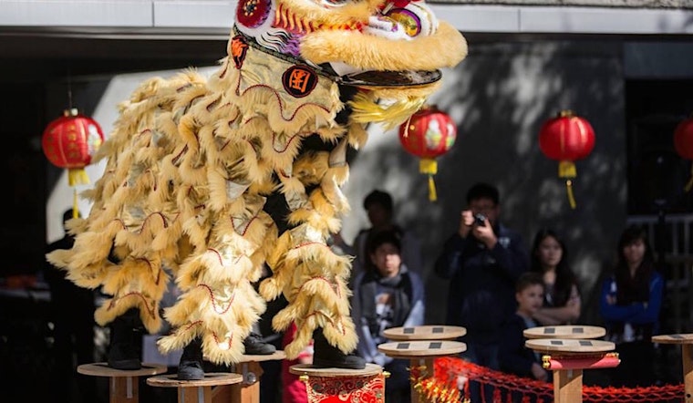 Oakland weekend: Lunar New Year celebration, black college expo, plant sale fundraiser, more