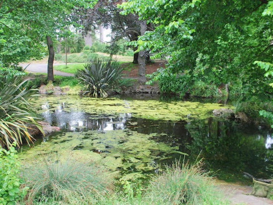 Concerned About Alvord Lake? Weigh In This Wednesday