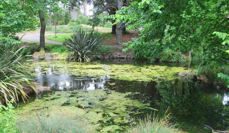 Concerned About Alvord Lake? Weigh In This Wednesday