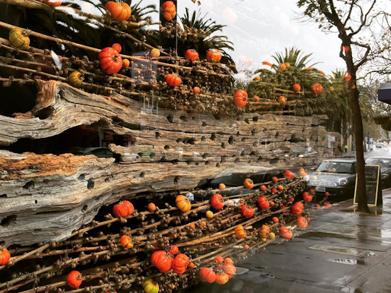 14 Events Worth Checking Out In The Castro This Week