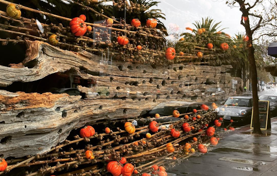 14 Events Worth Checking Out In The Castro This Week