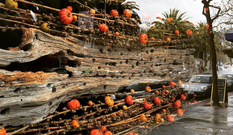 14 Events Worth Checking Out In The Castro This Week
