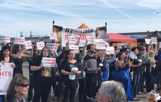 Animal Rights Activists Crash The Yard's BBQ Competition