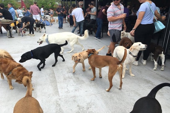 5 ways to enjoy your week in Charlotte