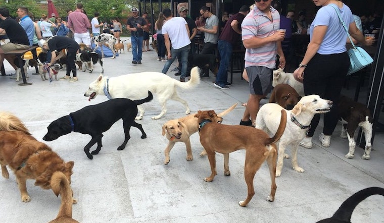5 ways to enjoy your week in Charlotte