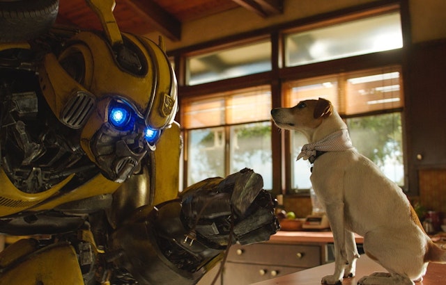 The 5 best movies screening around Mountain View this week