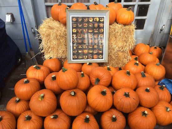 5 Scary Ways To Celebrate Halloween In the Inner Sunset