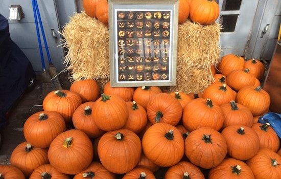 5 Scary Ways To Celebrate Halloween In the Inner Sunset