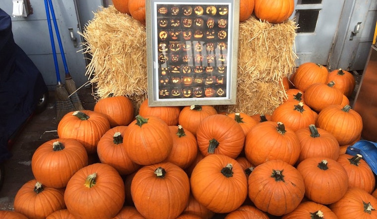 5 Scary Ways To Celebrate Halloween In the Inner Sunset