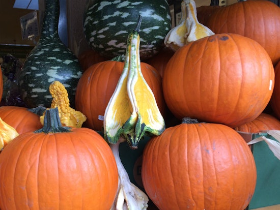 Halloween In The Upper Haight: Your Spooky Weekend Guide