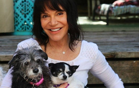 Muttville Dog Rescue Founder Named CNN 'Top 10 Hero' Of 2016