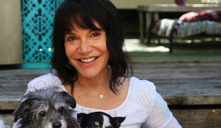 Muttville Dog Rescue Founder Named CNN 'Top 10 Hero' Of 2016