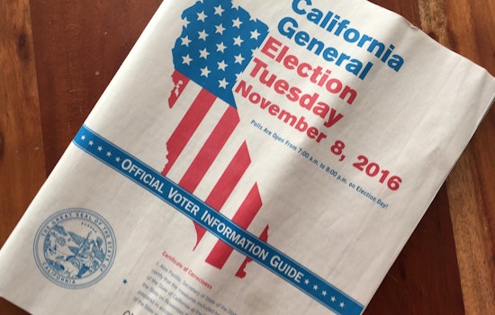 5 Non-Partisan Guides To Help You Make Decisions On Election Day