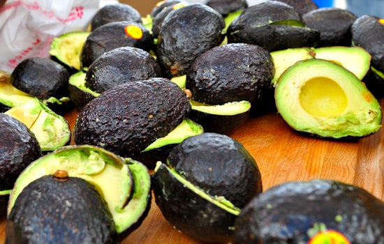 What The Guac?! How SF's Taquerias Are Weathering The Avocado Shortage