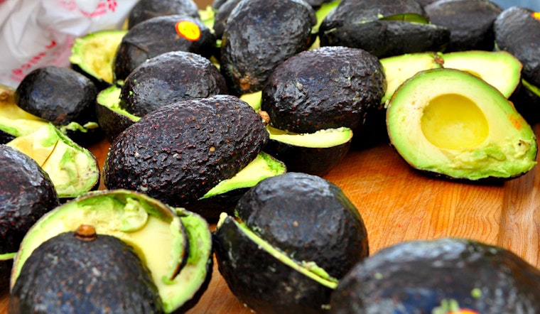 What The Guac?! How SF's Taquerias Are Weathering The Avocado Shortage