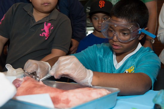 Tomorrow: Free Shuttle Rides For Bayview Families To Bay Area Science Festival 'Discovery Day'