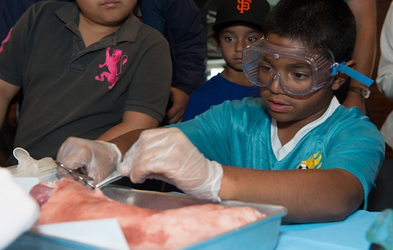 Tomorrow: Free Shuttle Rides For Bayview Families To Bay Area Science Festival 'Discovery Day'