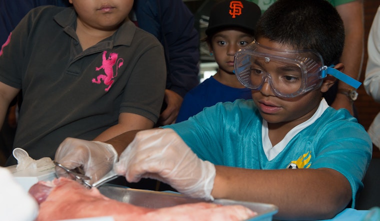 Tomorrow: Free Shuttle Rides For Bayview Families To Bay Area Science Festival 'Discovery Day'