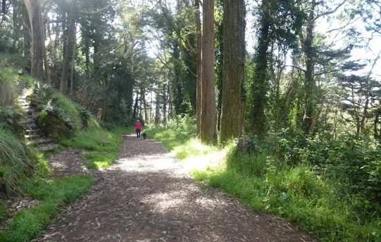From Cult Film To The Courtroom, Mt. Davidson Park Takes Center Stage