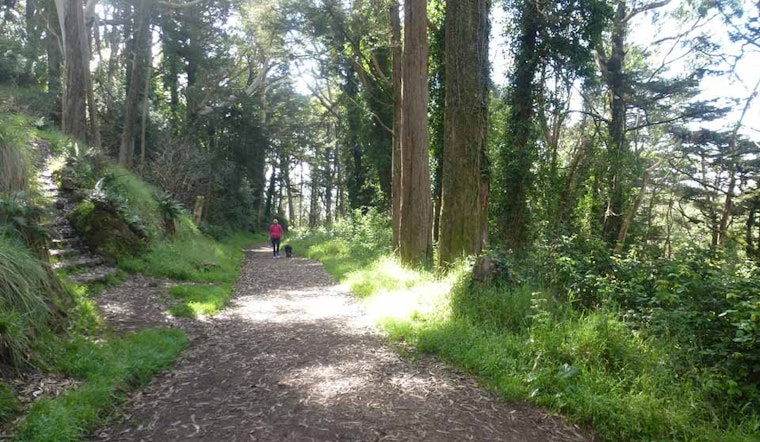From Cult Film To The Courtroom, Mt. Davidson Park Takes Center Stage