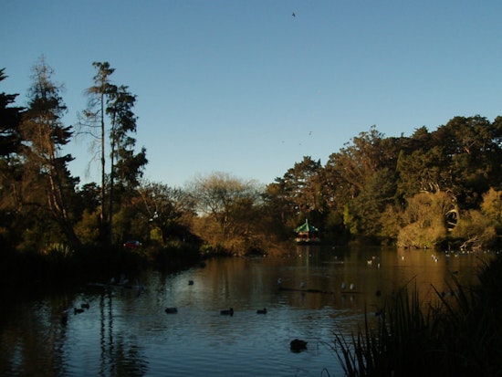 Stow Lake Camera Grab Injures 1 As Trend Continues